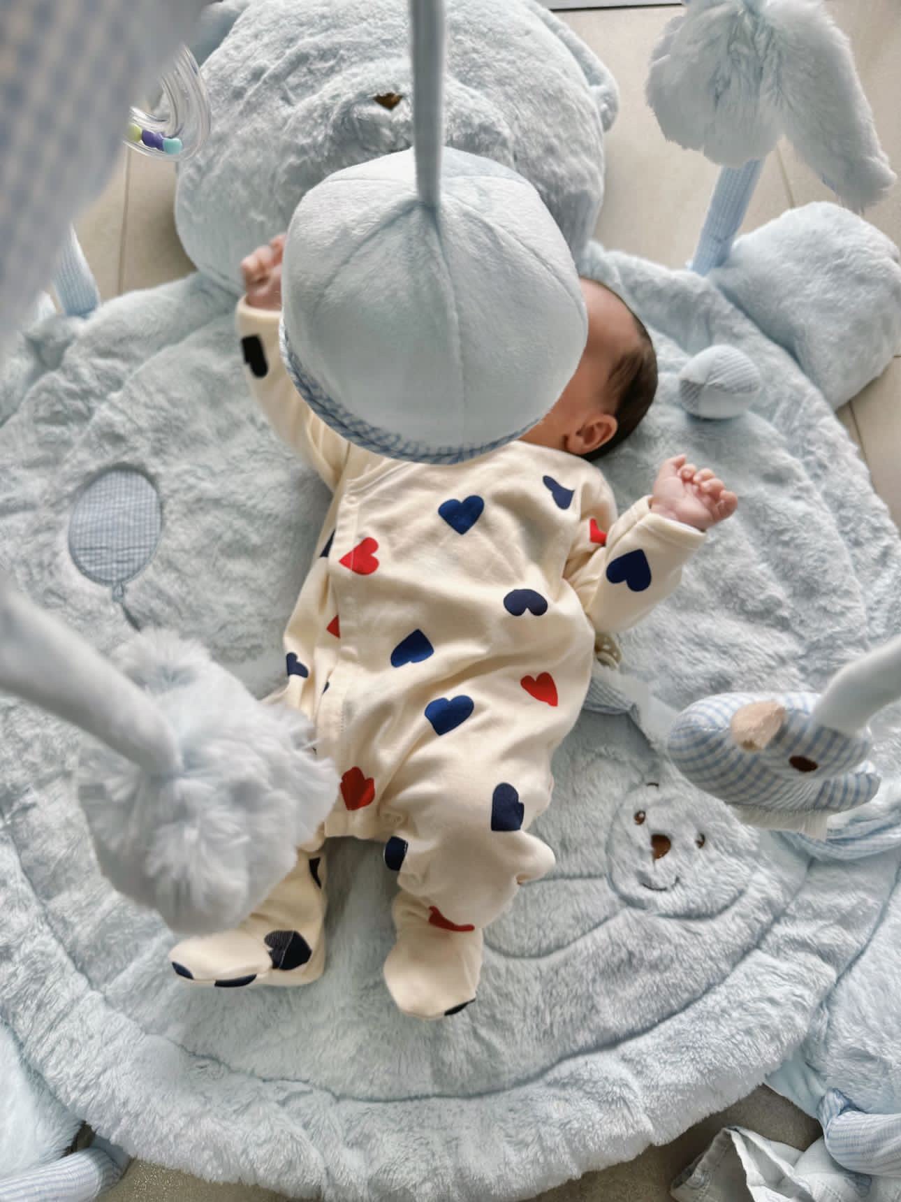 אוניברסיטה לתינוק דובי - כחול