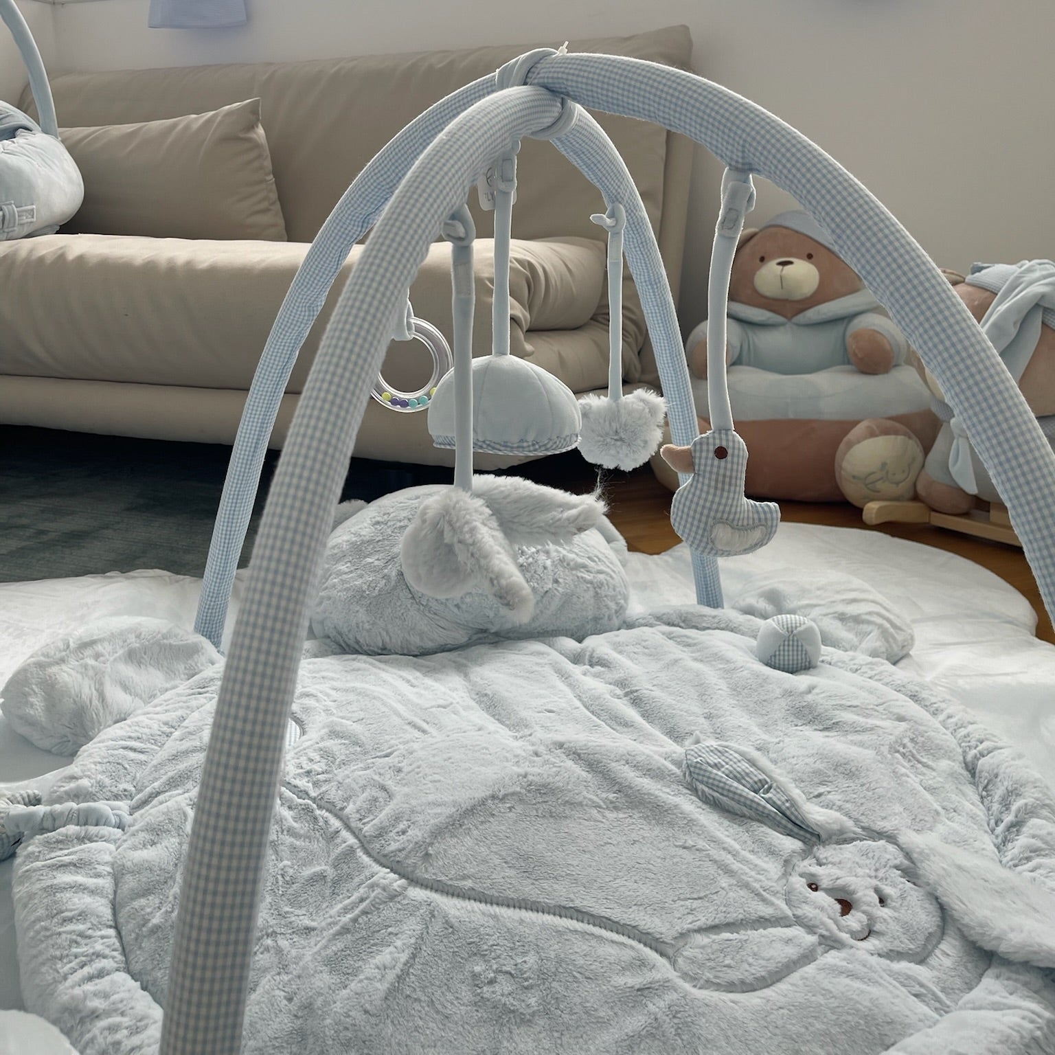 אוניברסיטה לתינוק דובי - כחול