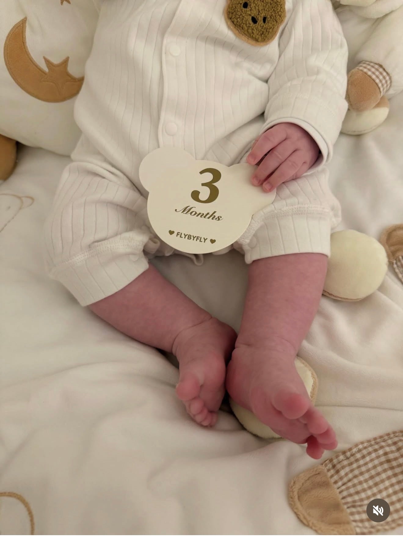 Milestones Card Bears - Beige