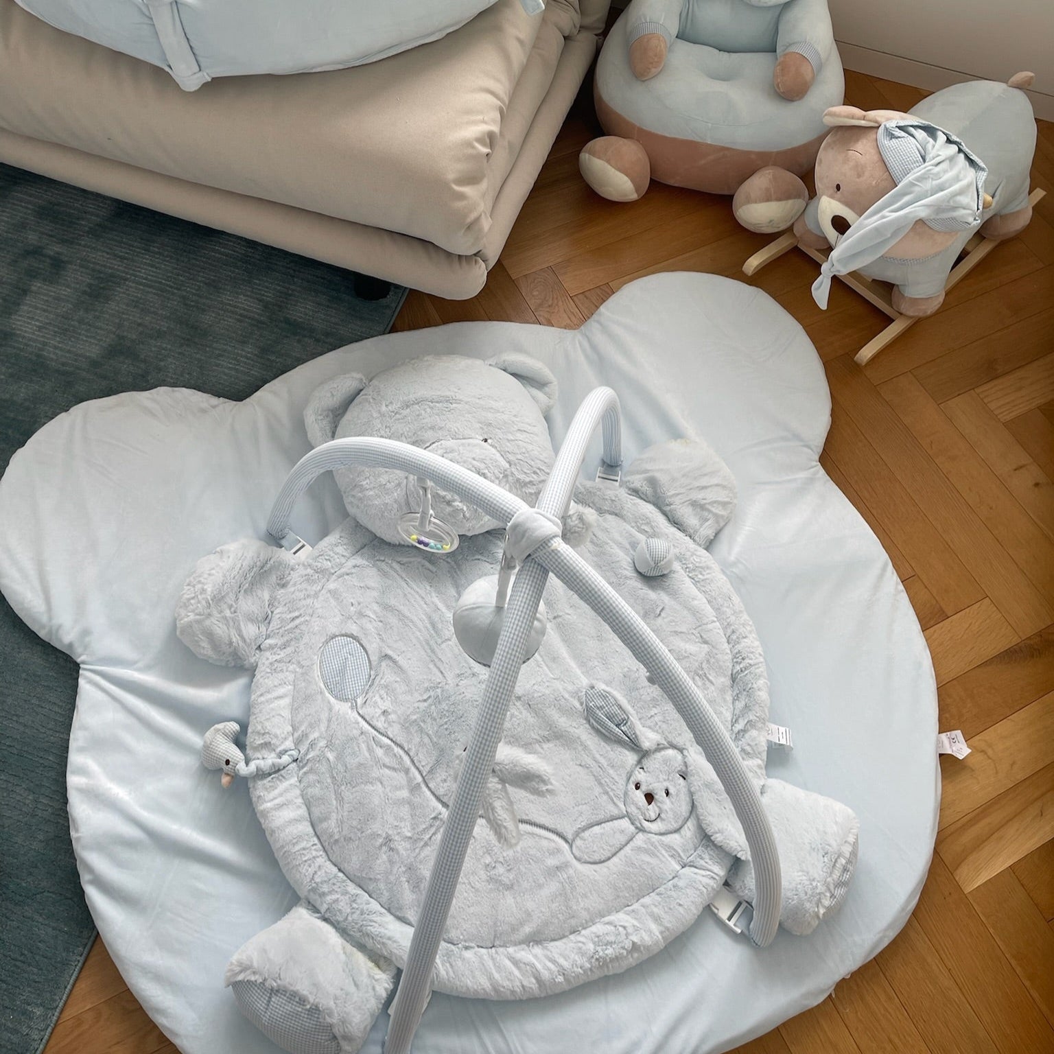 אוניברסיטה לתינוק דובי - כחול