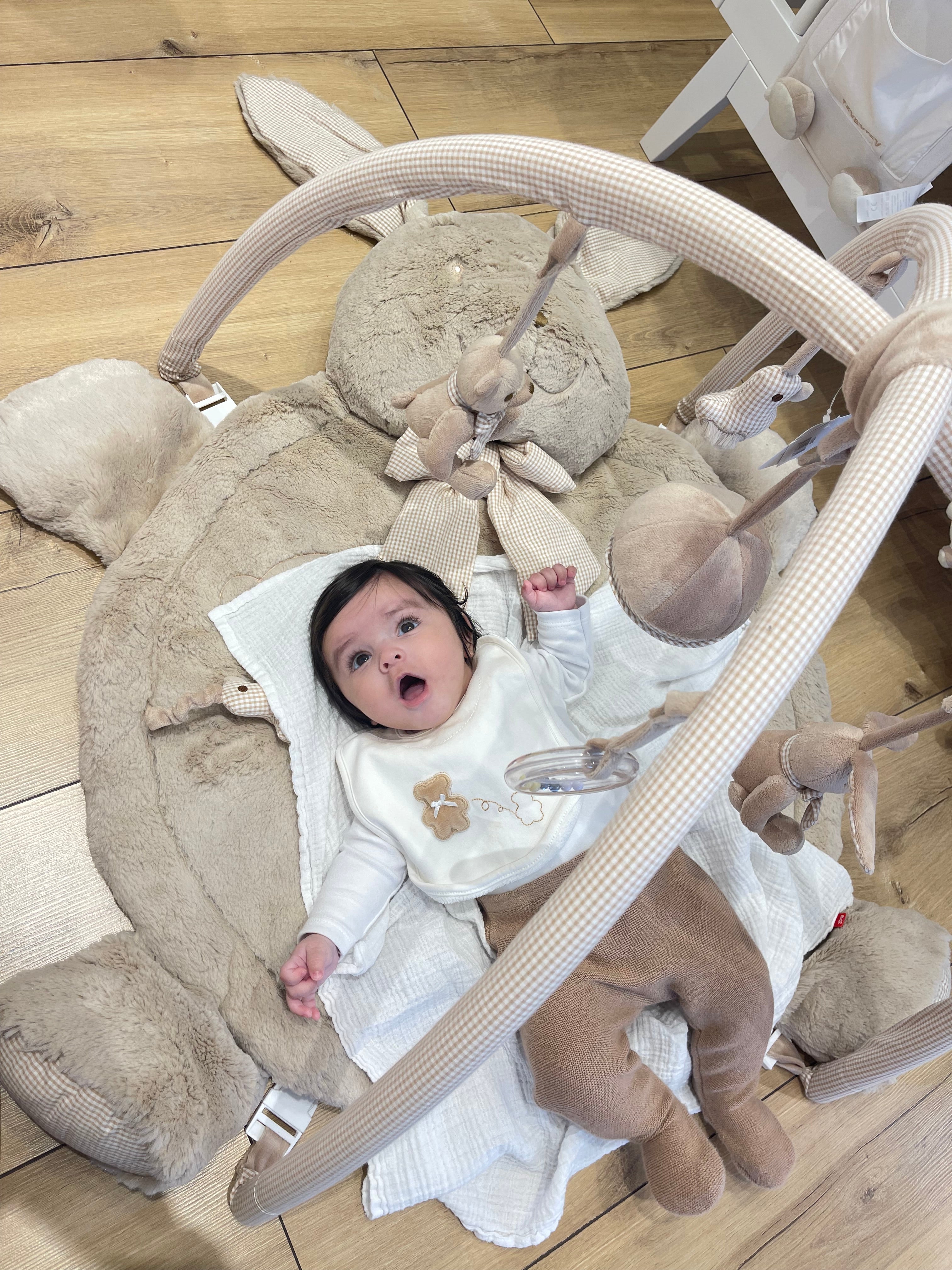  אוניברסיטה ארנב לתינוק - בז׳