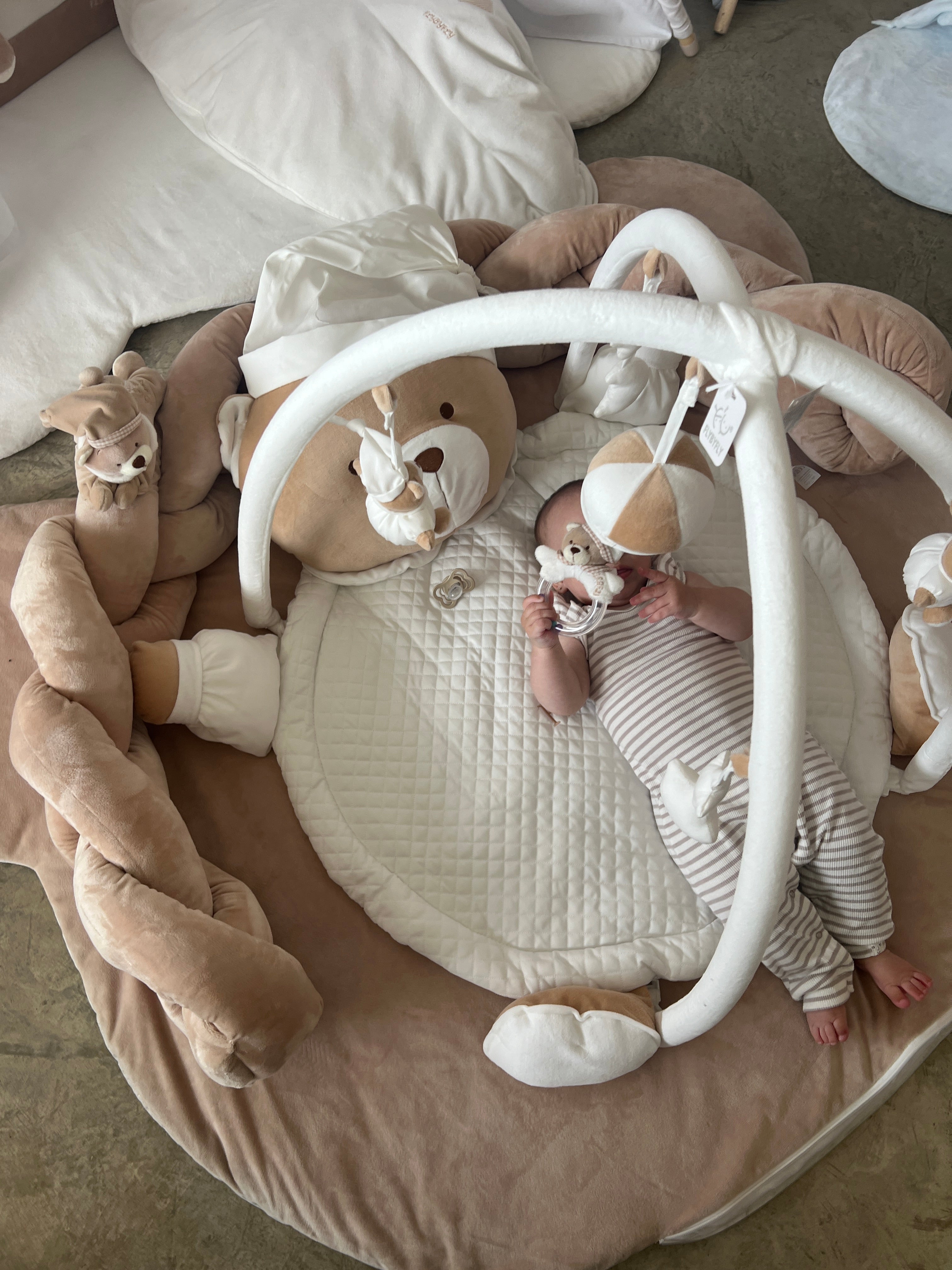 אוניברסיטה דובי - מימי