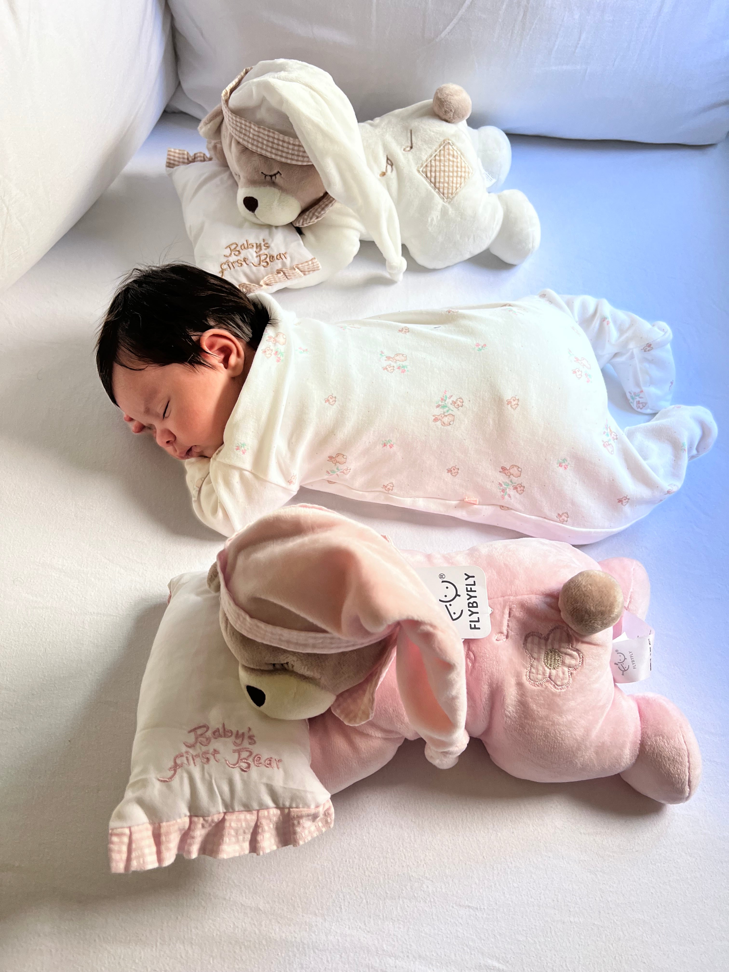 דובי מנמנם- ורוד