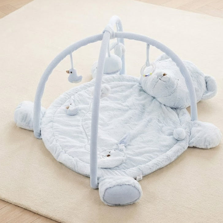 אוניברסיטה לתינוק דובי - כחול