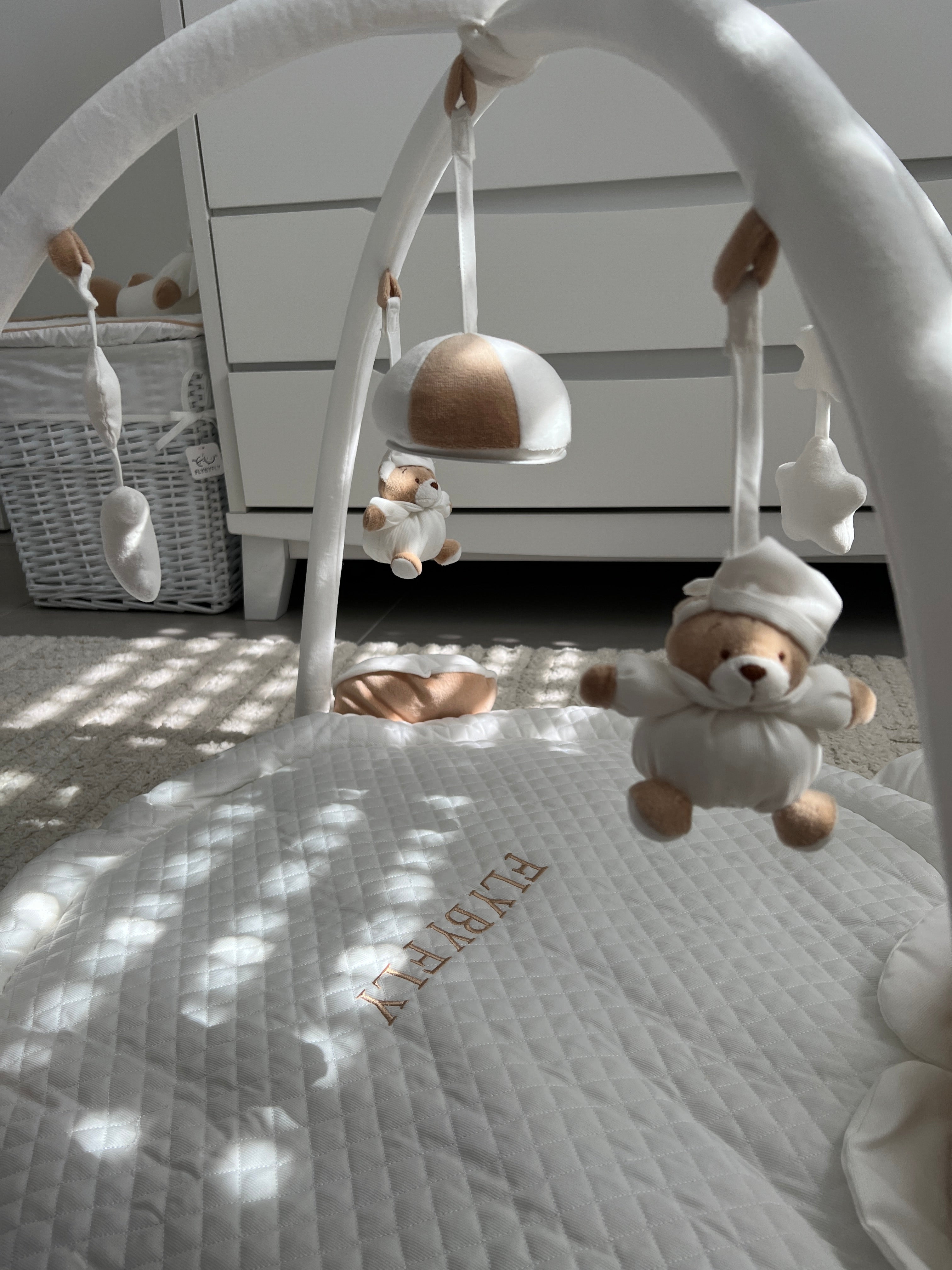 אוניברסיטה דובי - מימי