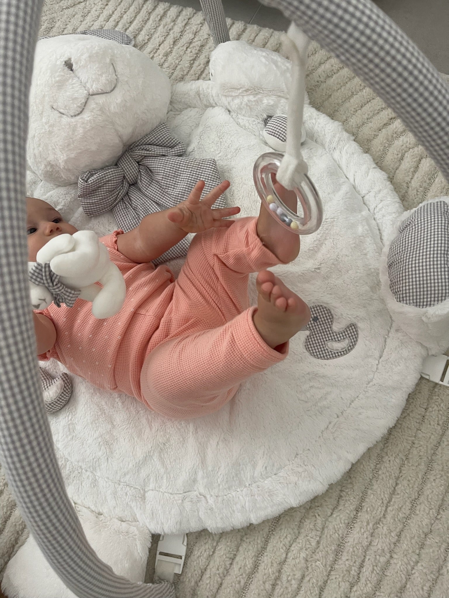 אוניברסיטה לתינוק ארנב - לבן