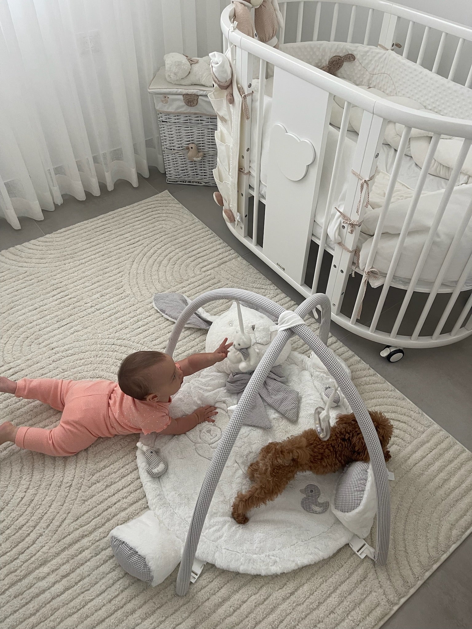 אוניברסיטה לתינוק ארנב - לבן