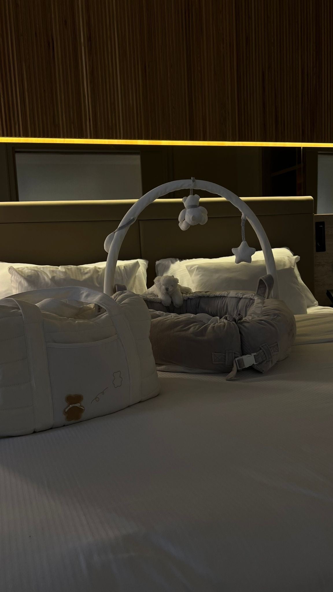 בייבינסט - אפור