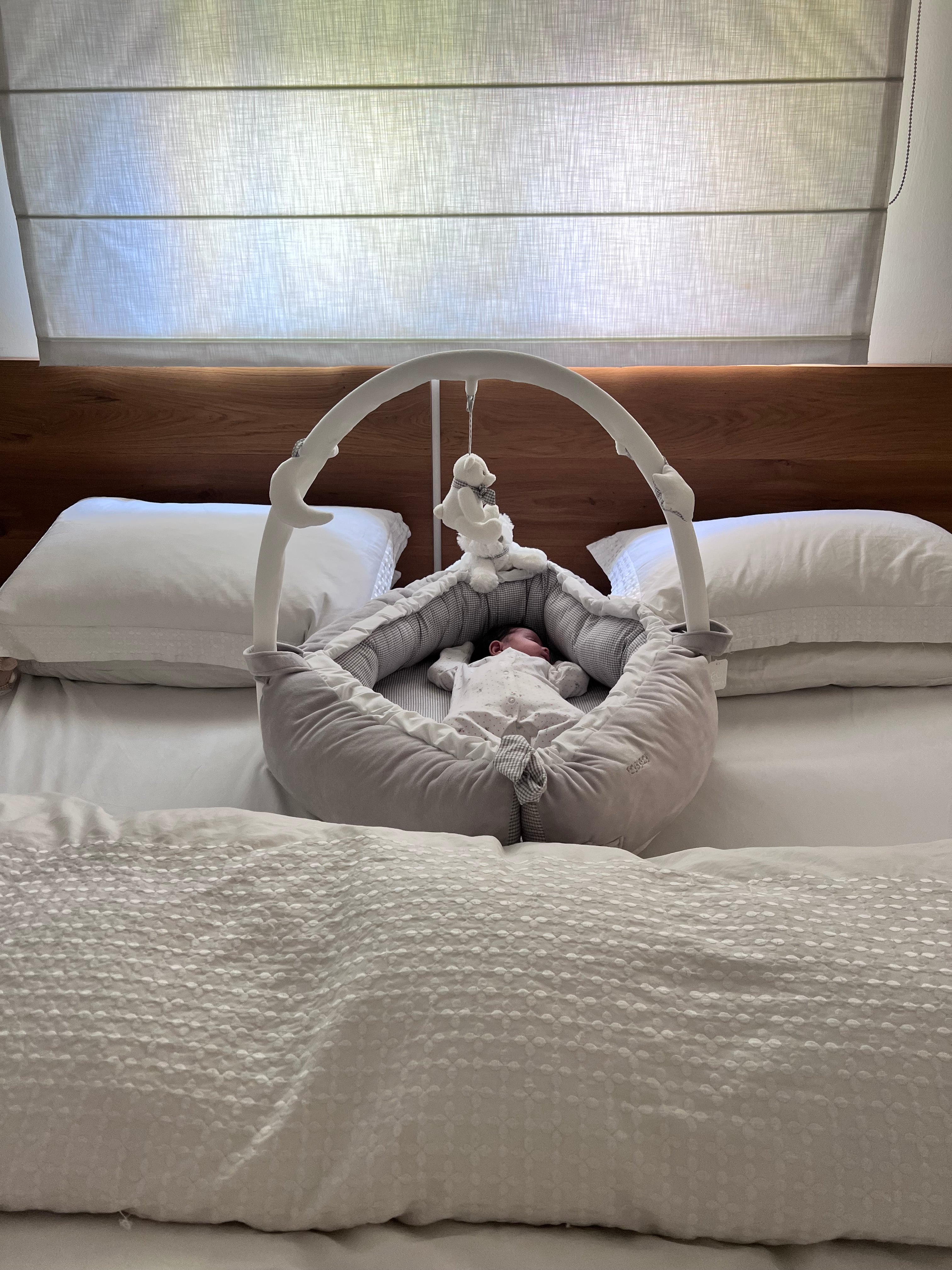 בייבינסט - אפור