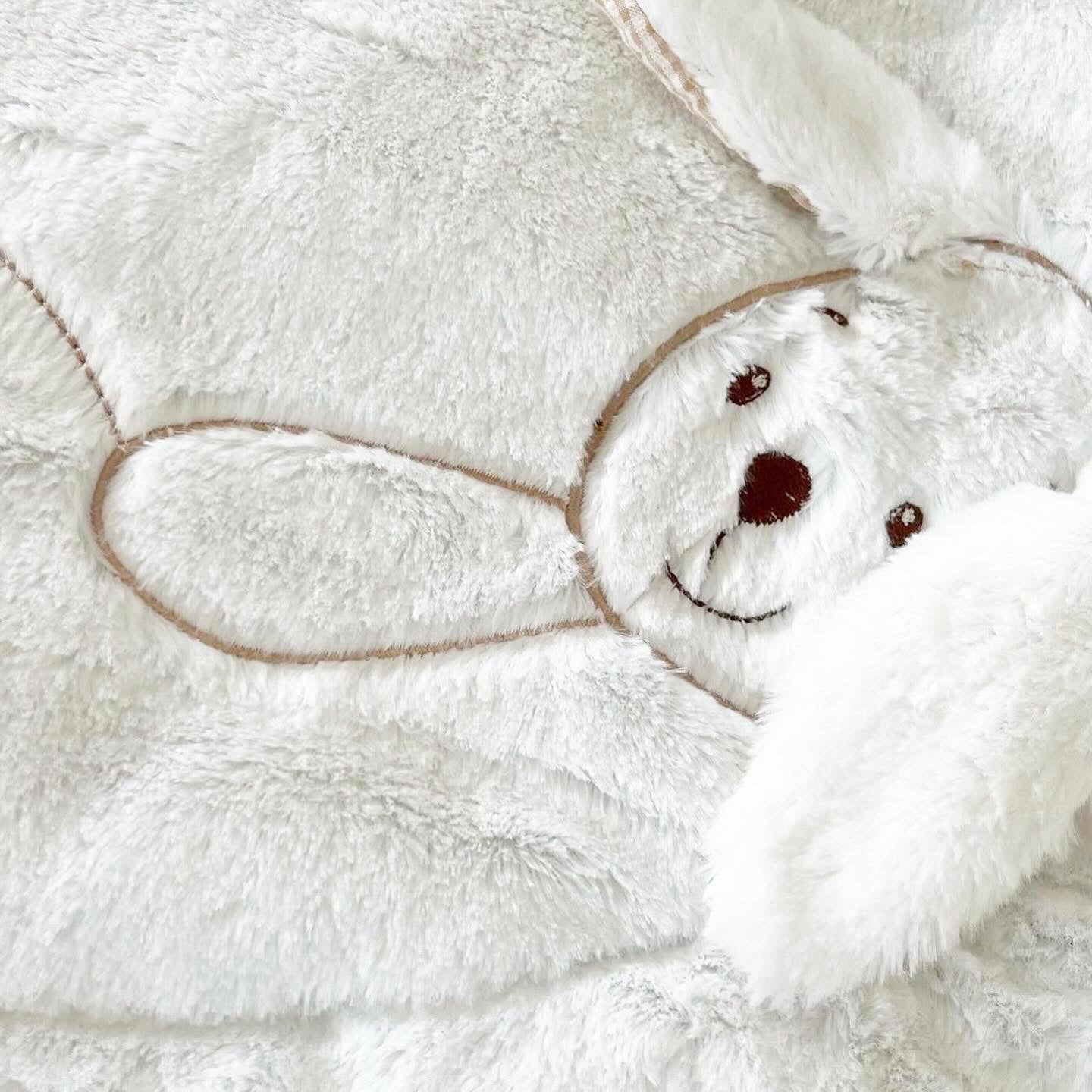 אוניברסיטה לתינוק דובי - לבן & בז'