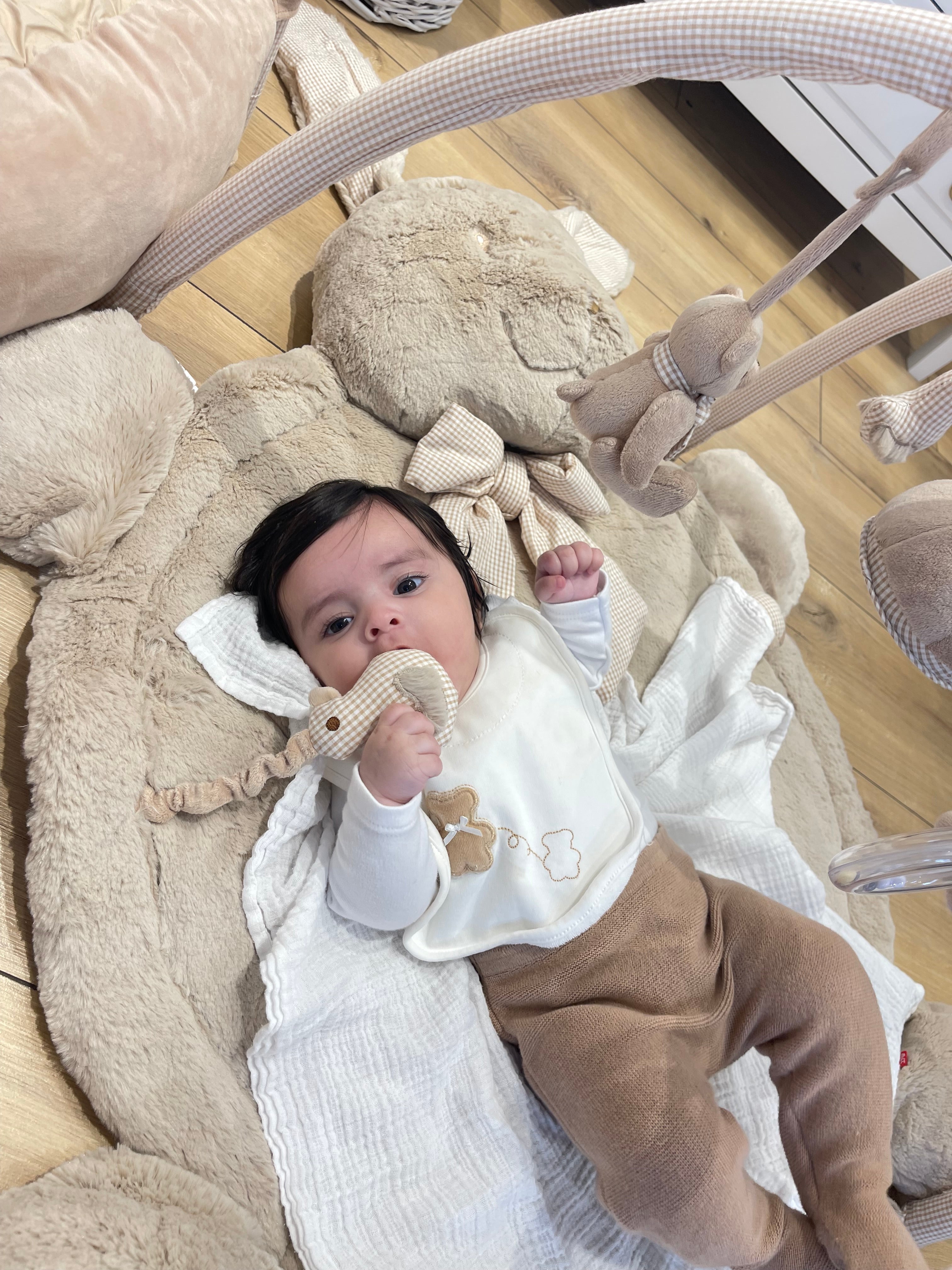  אוניברסיטה ארנב לתינוק - בז׳