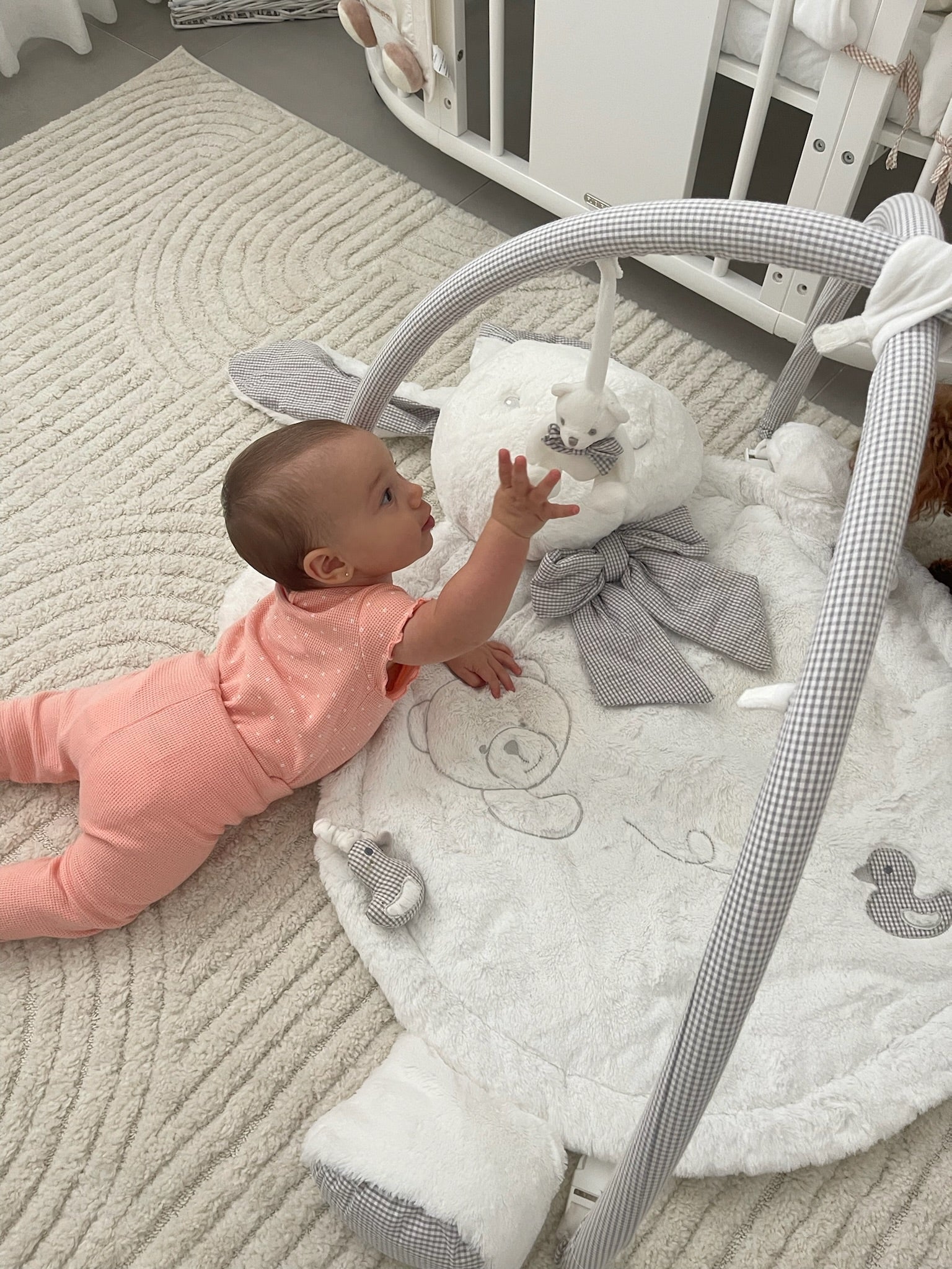 אוניברסיטה לתינוק ארנב - לבן