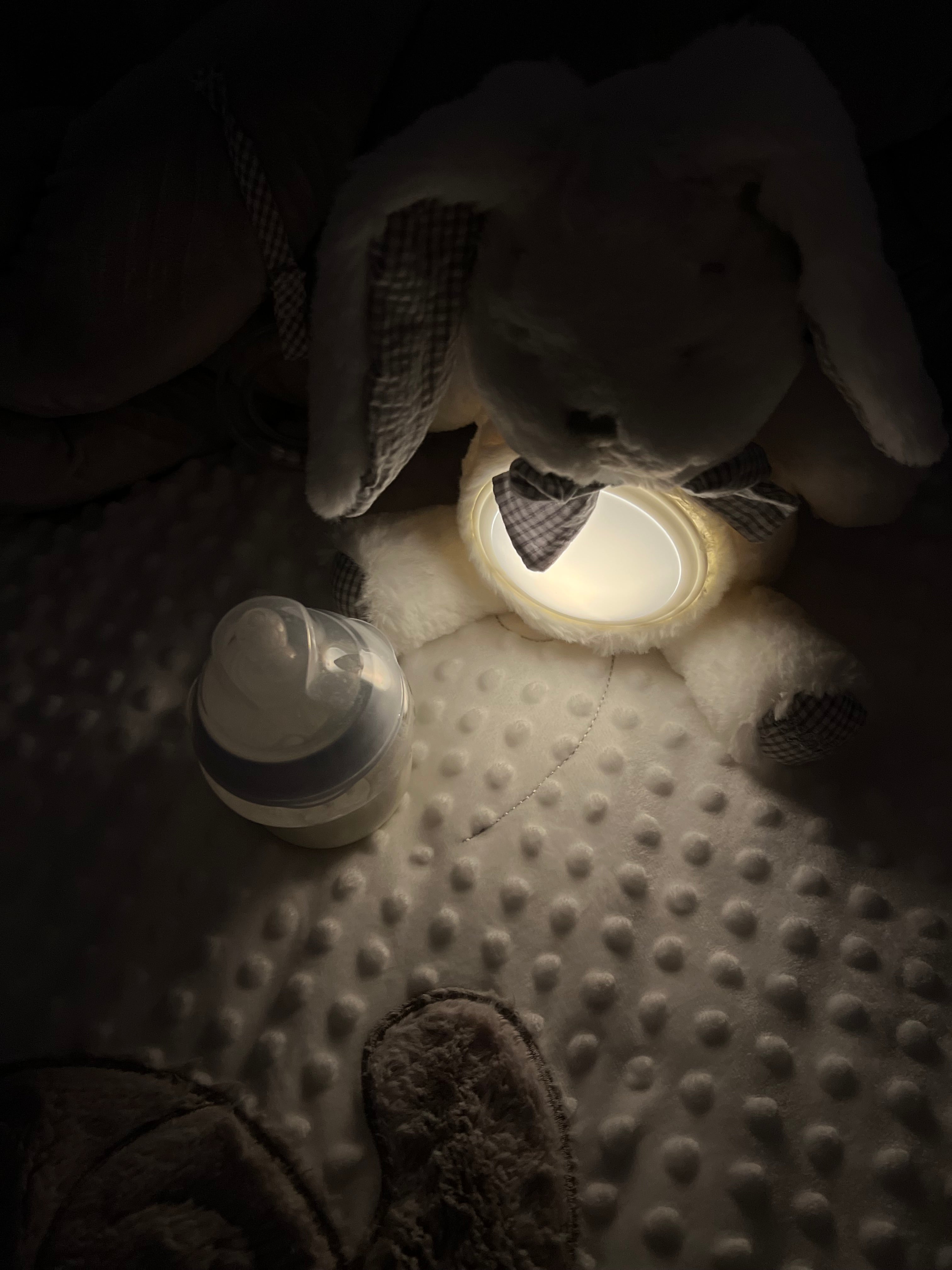 BEAR NIGHT LIGHT- BLUE