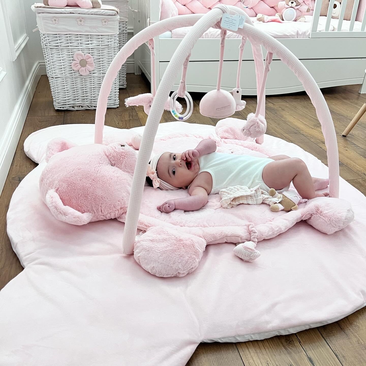 אוניברסיטה לתינוק דובי - ורוד