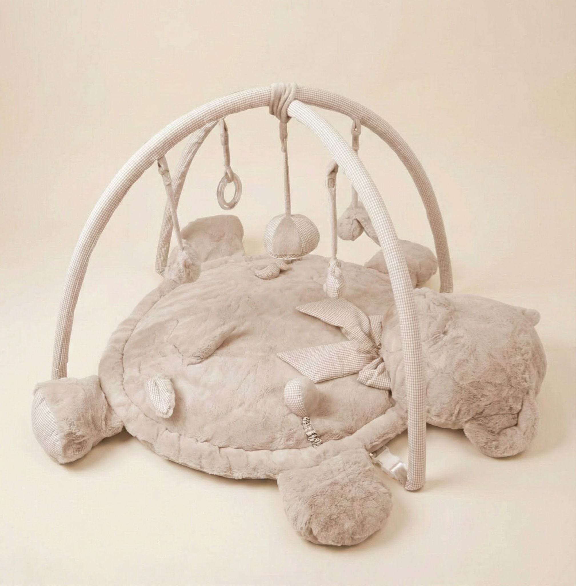 אוניברסיטה לתינוק דובי - בז׳