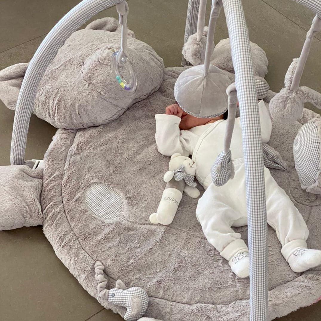 אוניברסיטה לתינוק דובי- אפור