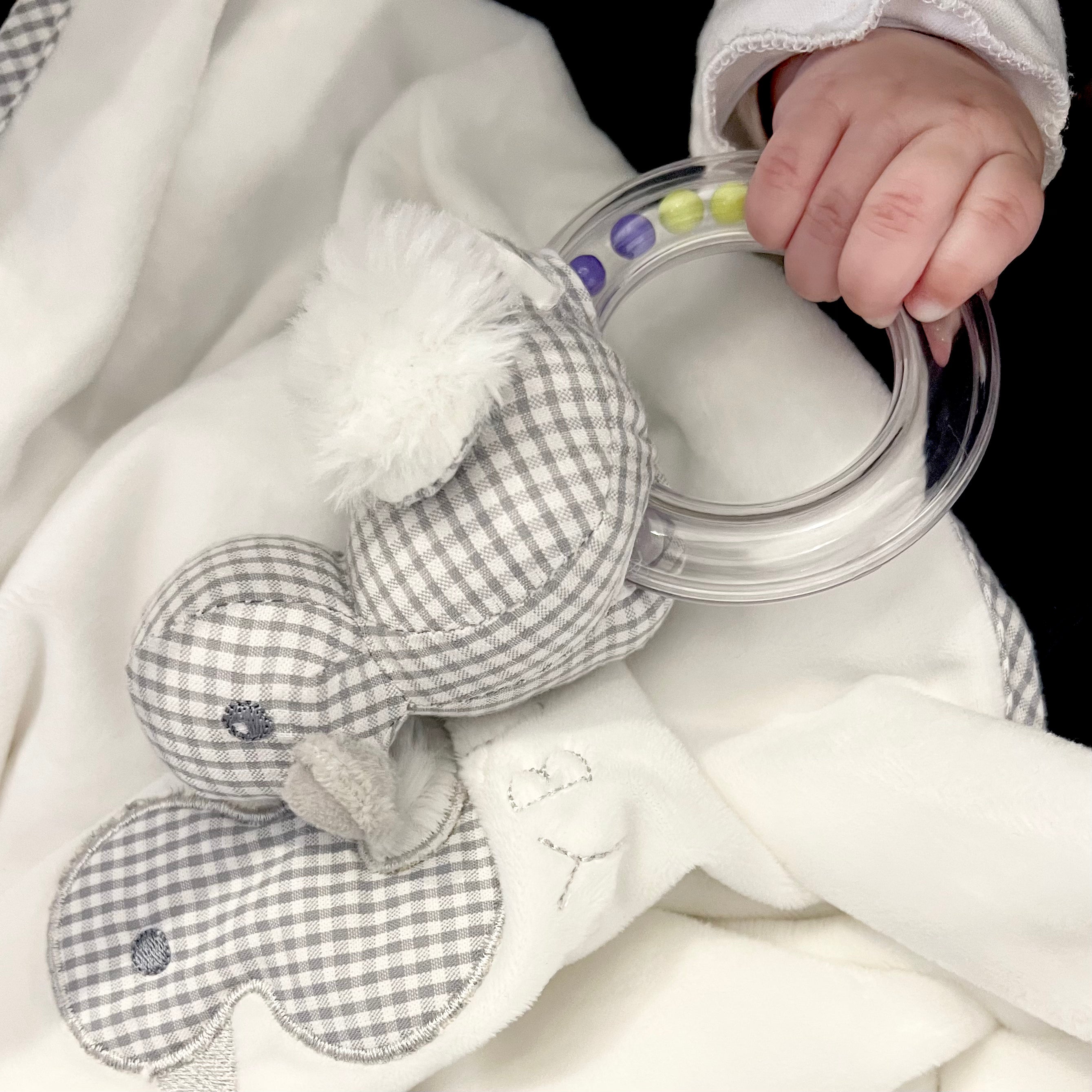 רעשן חרוזים - ברווז'