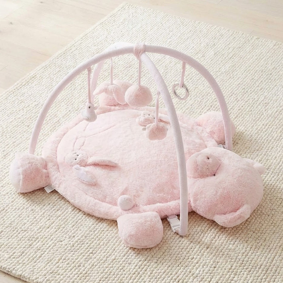 אוניברסיטה לתינוק דובי - ורוד